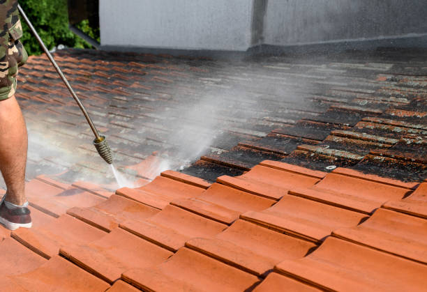 Best Deck Cleaning Services  in Bethalto, IL