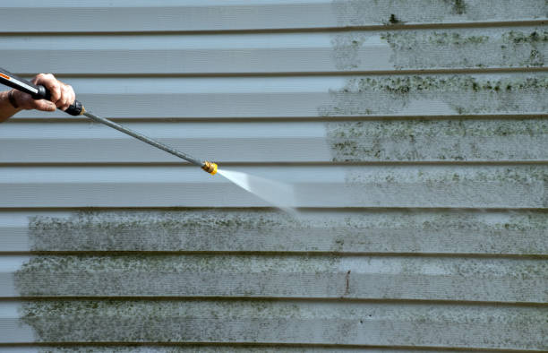 Best Exterior Home Cleaning  in Bethalto, IL