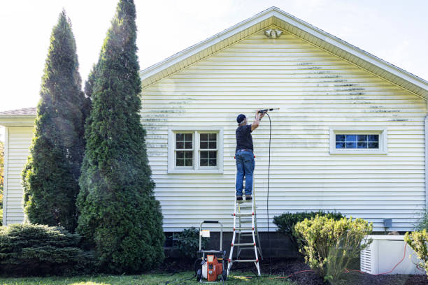 Trusted Bethalto, IL Pressure Washing Experts