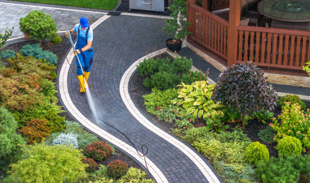 Best Local Pressure Washing Services  in Bethalto, IL